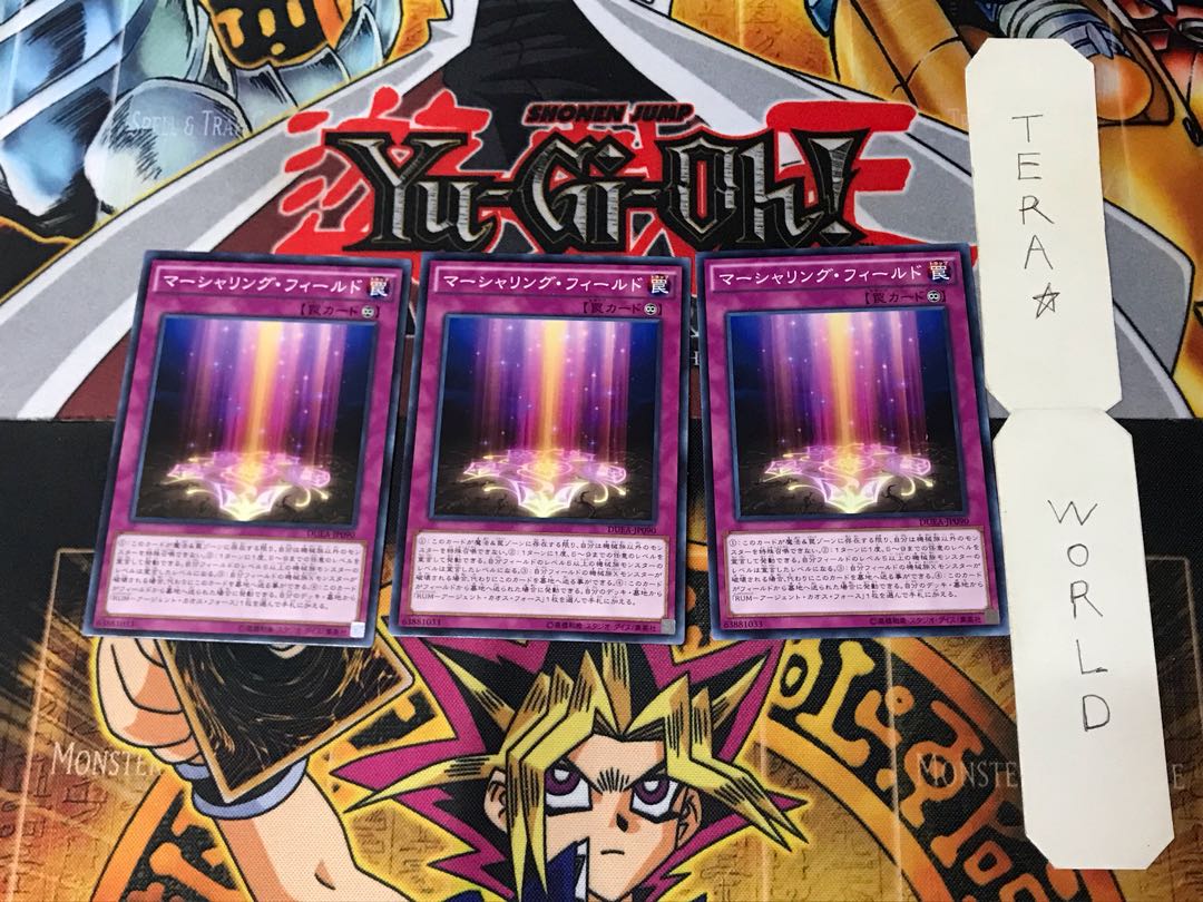 Marshalling Field DUEA 1 Normal, set of 3 Tera.