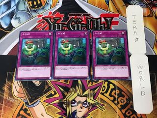 Waking the Dragon DBMF 2 Normal, set of 3 Tera