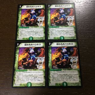 Paconeco (H.C.) R 17/44/Y7