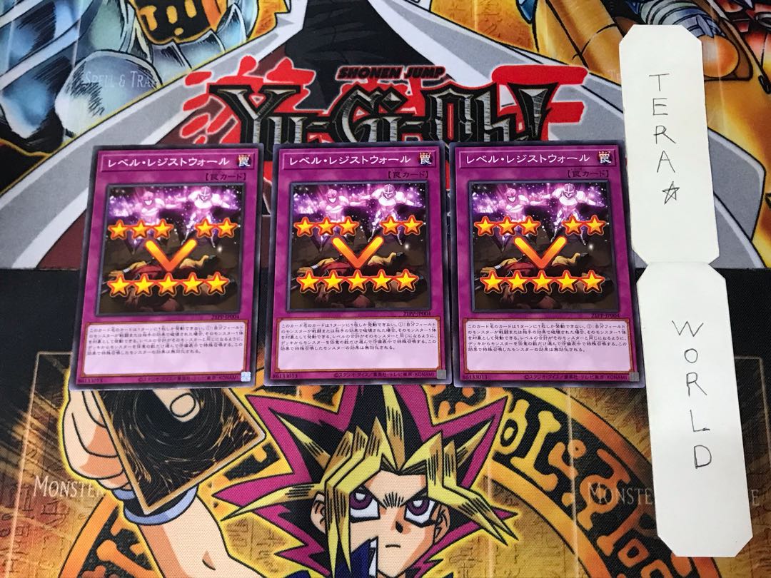 Level Resist Wall 21PP 1 Normal, set of 3 Tera.