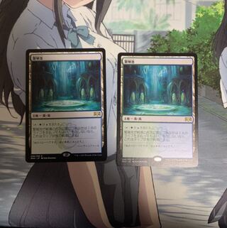 へびさん専用　繁殖池2枚＋草むした墓