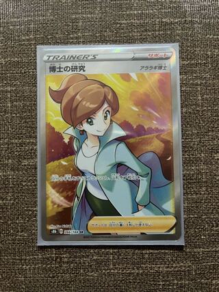 てい様専用　博士の研究