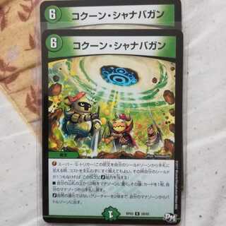 コクーン・シャナバガン　2枚