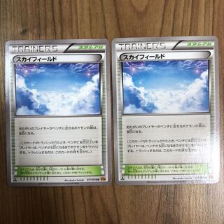 同梱で値引きあり　スカイフィールド