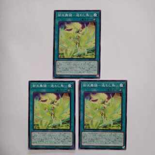 Miko Dance - Lost Bird Normal JP062 Set of 3