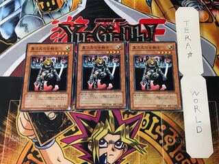 D.D. Warrior Lady SD5 4 Normal, set of 3 Tera.