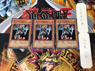 D.D. Warrior Lady SD5 6 Normal, set of 3 Tera.