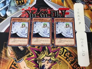 Vanity's Ruler DE01 9 Normal, set of 3 Tera.