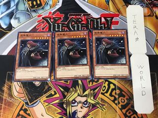 Vanity's Fiend SR06 1 Normal, set of 3 Tera.