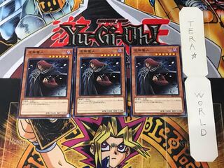 Vanity's Fiend SR06 3 Normal, set of 3 Tera.