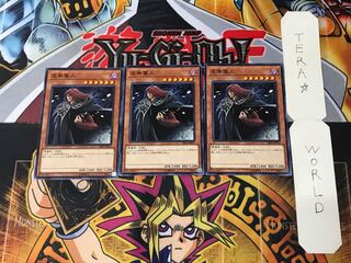 Vanity's Fiend SR06 4 Normal, set of 3 Tera.