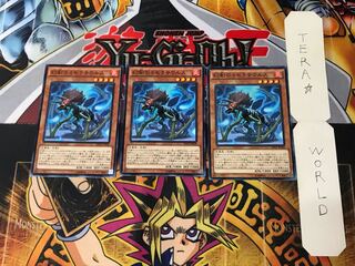 Miscellaneousaurus RATE 5 Normal, set of 3 Tera.