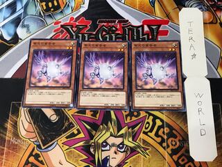 Herald of Purple Light SR05 4 Normal, set of 3 Tera.