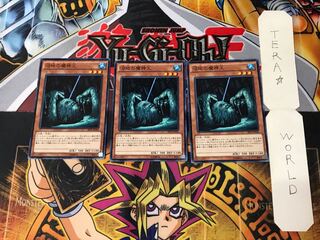 King of the Swamp SPFE 4 Normal, set of 3 Tera.