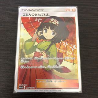 エリカのおもてなし SR