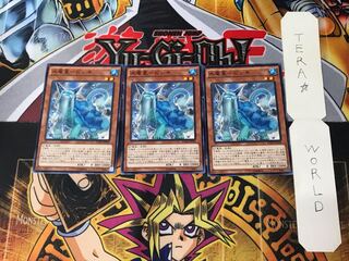 Water Ryusei-Bishiki DUEA 1 Normal, set of 3 Tera.