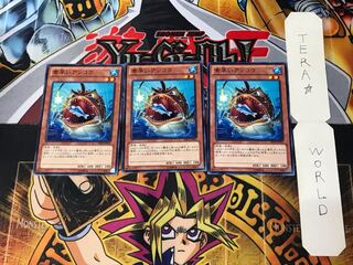 Nimble Angler ABYR 4 Normal Set of 3 Tera