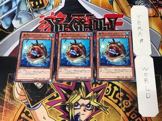 Nimble Angler ABYR 6 Normal Set of 3 Tera