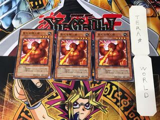 怒れる類人猿 306 1 ノーマル 3枚セット てら