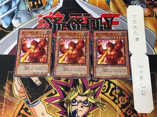 怒れる類人猿 306 2 ノーマル 3枚セット てら