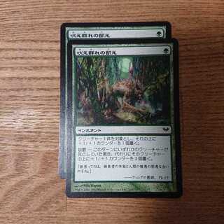 MTG Common Hunger of the Howlpack 1枚