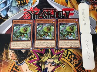 Predaplant Chlamydosundew DP22 3 Normal Set of 3 Tera