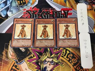 Outstanding Dog Marron EE1 2 Normal, set of 3 Tera.