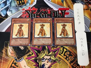 Outstanding Dog Marron EE1 4 Normal, set of 3 Tera.