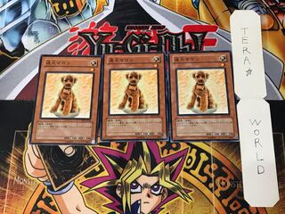 Outstanding Dog Marron EE1 5 Normal, set of 3 Tera.