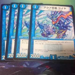 Aqua Ninja Raiya 1枚