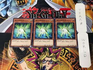 緑光の宣告者 SR05 1 ノーマル 3枚セット てら