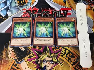 Herald of Green Light SR05 2 Normal, set of 3 Tera