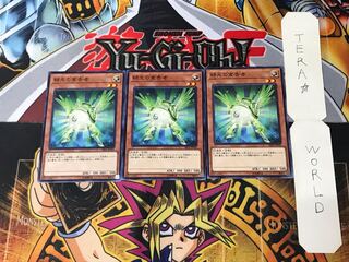 Herald of Green Light SR05 4 Normal, set of 3 Tera