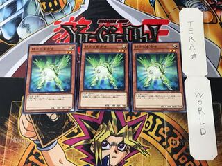 Herald of Green Light SR05 5 Normal, set of 3 Tera