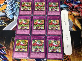 ポリノシス 2 ノーマル 9枚セット てら