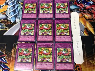 ポリノシス 3 ノーマル 9枚セット てら