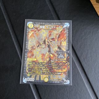 煌龍サッヴァーク