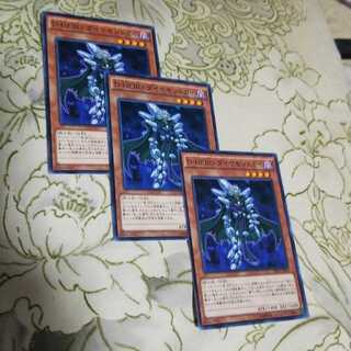 DHEROダイヤモンドガイ