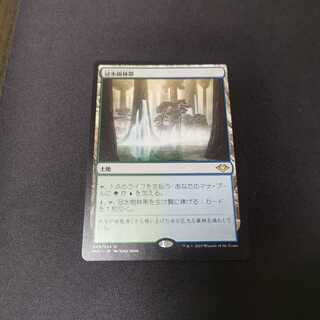 【MH1】冠水樹林帯　日