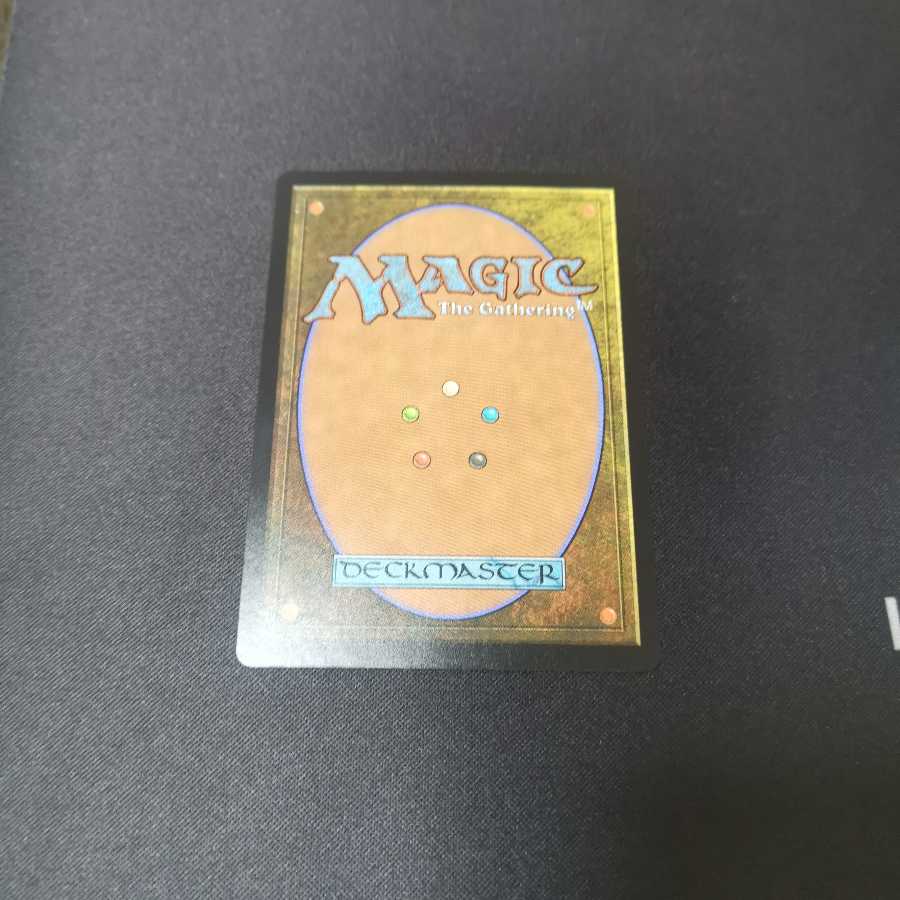 【MH1】冠水樹林帯　日