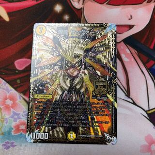 煌龍 サッヴァーク シク2