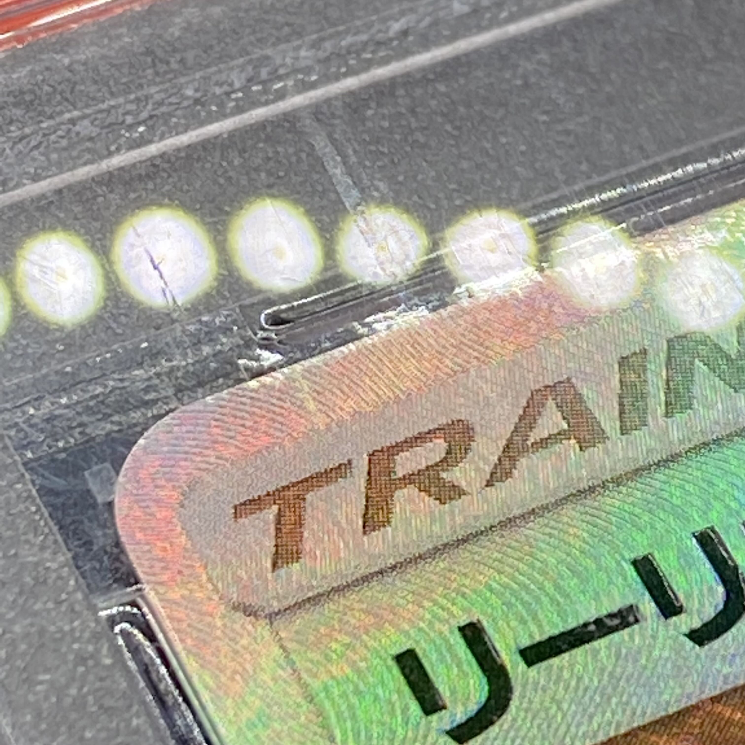 PSA10 エクストラバトルの日 リーリエ397/SM-P