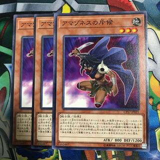 アマゾネスの斥候 3枚