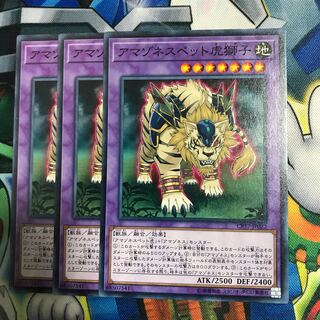 アマゾネスペット虎獅子 3枚