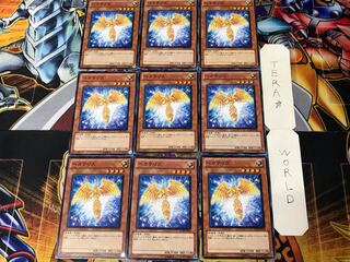 Hecatrice 2 Normal, set of 9 Tera