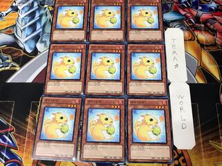 Poki Draco 1 Normal 9-card set Tera