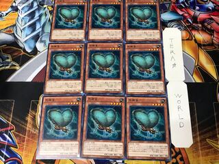 Resonance Insect 3 Normal 9-card set Tera