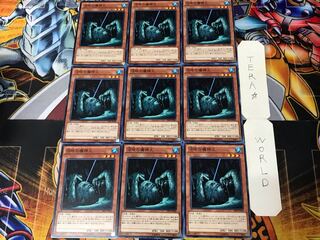 King of the Swamp 4 Normal 9-card set Tera