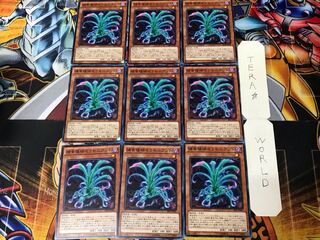 Predaplant Sarraceniant 1 Normal, set of 9 Tera.