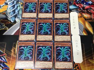 Predaplant Sarraceniant 2 Normal, set of 9 Tera.